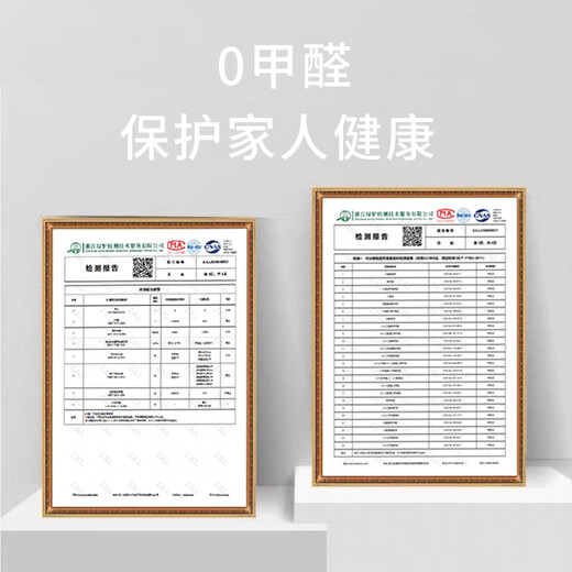 布迪思地毯卧室大面积满铺家用客厅毯沙发茶几轻奢防滑毯简约可定制地毯 现代6210【加厚圈绒】 240*300CM