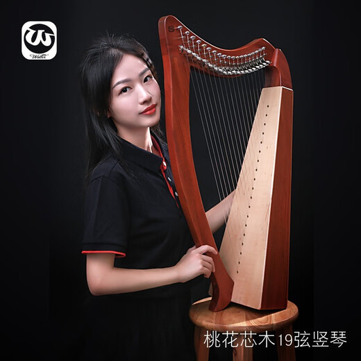Walter.t Walter Halter Halter Harp 15-Saite 19-Saite 19-Saite Iren Classical Anfänger