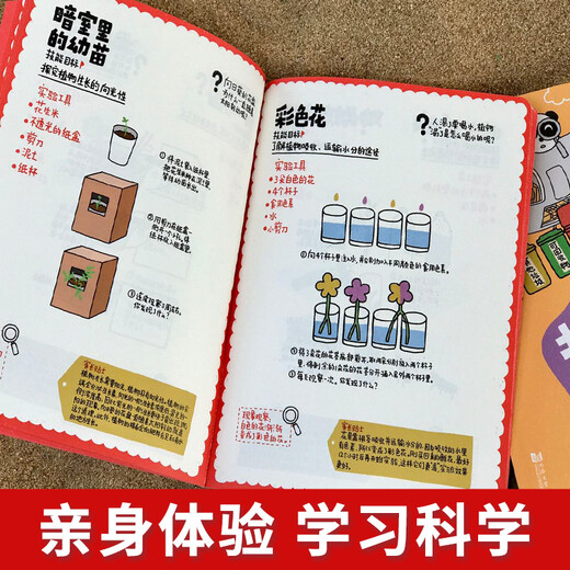 越玩越聪明—科学 全3册  幼小衔接 学前教育 亲子绘本 科学启蒙 阶梯式学习 适合3-4-5-6岁幼儿园元远教育9787560**1484上海元远教育同济大学出版社