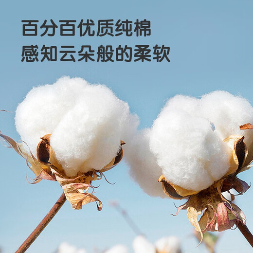 安可新可洗隔尿垫  婴幼儿宝宝纯棉护理垫床垫防漏尿垫 纯棉【180*200cm单条装】