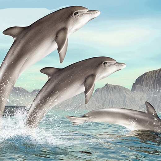 [70% neu] Dise Marine Animals Delphin Model Toys Jungen und Mädchen Marine World Early Education Cognition Kinder simulierte Tierspielzeugdolphin14699/14808