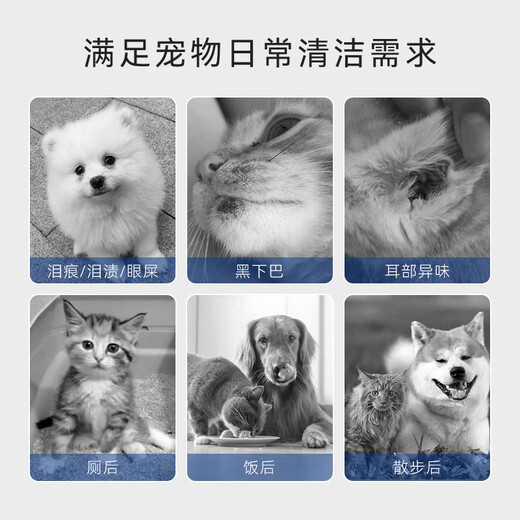 小软宠物湿巾猫咪狗狗擦眼擦泪痕去味除臭擦脚全身免洗清洁湿纸巾