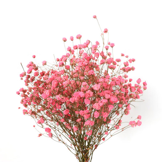 AIMAN ins air-dried flower bouquet home decoration small fresh living room flower arrangement internet celebrity decoration baby's breath eternal flower SN reddish brown lover's grass