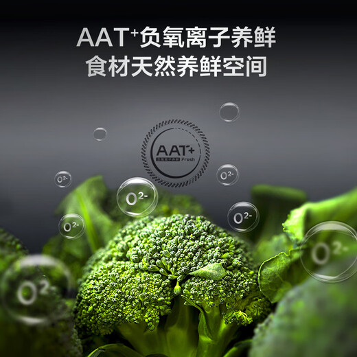 TCL new 407 upgrade first-level energy efficiency dual frequency French multi-door four-door double-door door household large-capacity refrigerator ultra-thin embedded in air-cooled deep-cooled quick-freezing old-for-new [Width 677mm] 407-liter fresh storage R407V5-D