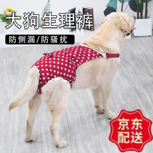 Huameilong Dog Menstrual Pants Large Dog Female Dog Aunt Pants Safety Pants Period Anti-harassment Labrador XXL Recommendation 39-49Jin Jin is equal to 0.5kg