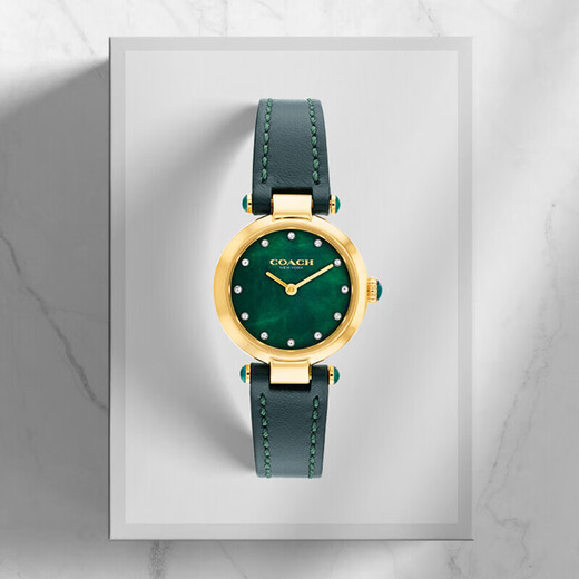 COACH CARY Series Belt Quartz Women's Watch 14503951 Recommended by Luo Yizhou New Year Gift/Gift Giving