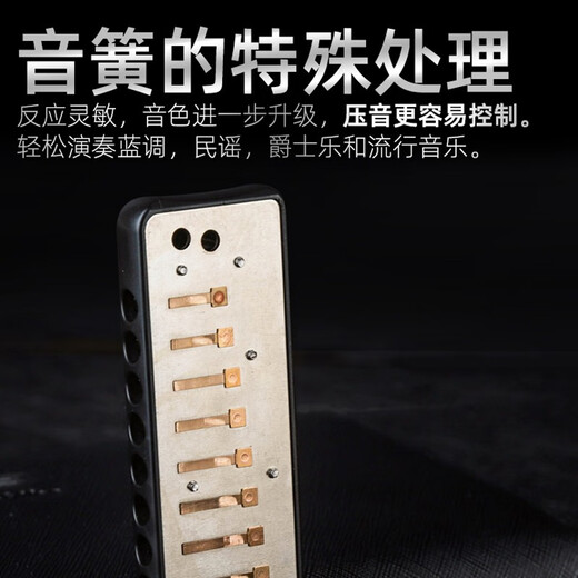 嘉德瑞JDR布鲁斯十孔口琴C调NinJa忍者10孔蓝调paddy初学者成人演奏级