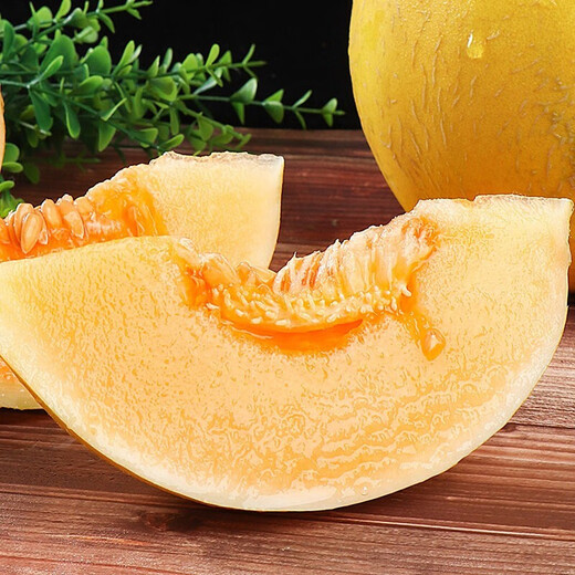 Dayu White Melon Seed Collection Cantaloupe Seedlings Seedlings Seedlings Baishami North and South Fruit Balcony Planting Spring Elizabeth Melon Seeds 30 capsules early maturing