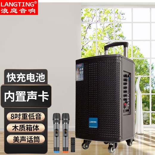 LANGTING QX1014 square dance audio professional outdoor karaoke high volume singing and dancing mobile portable trolley Bluetooth performance speaker built-in sound card version GD08-41+2 microphones