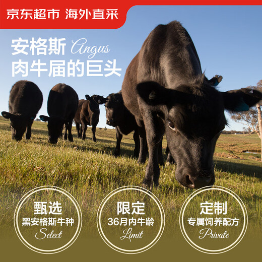 京东超市 海外直采澳洲原切谷饲黑安格斯牛腱肉 净重3.2斤 自营牛腱子肉