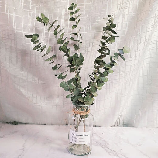 AIMAN dried flowers eucalyptus leaves Nordic style ins Nordic style small fresh living room ornaments diy home decoration ornaments SN strawberry fruit red 20 pieces without bottle