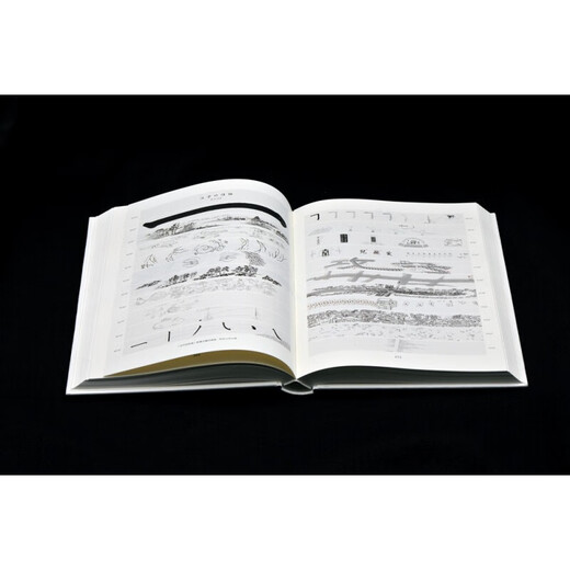 In stock Xu Bing Thoughts and Methods Xu Bing Works Collection Xu Bing Prints, Drawings, Installations