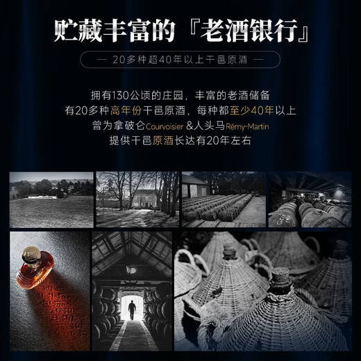 派斯顿法国进口洋酒XO白兰地陶瓷瓶身40°烈酒蓝樽原酒进口 1500mL 1瓶