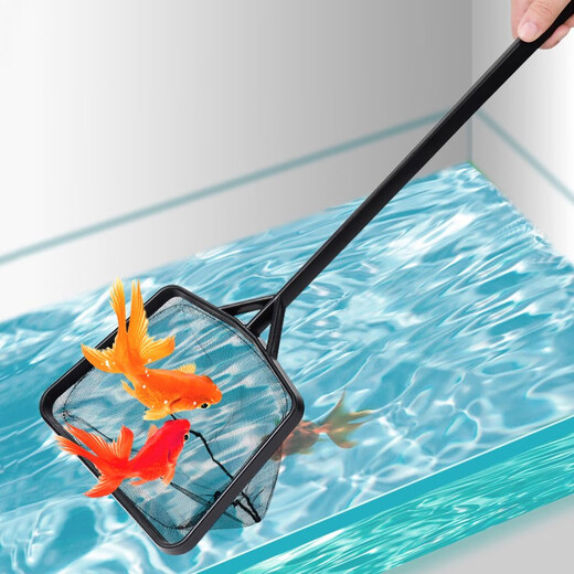 Hanhan Paradise Fish Tank Fishing Net Fishing Small Fish Fishing Net Pocket Aquarium Fishing Small Net Fishing Copy Net Necessary Supplies for Fish Raising