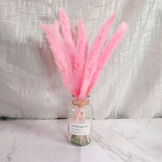 AIMAN dried flowers eucalyptus leaves Nordic style ins Nordic style small fresh living room ornaments diy home decoration ornaments SN strawberry fruit red 20 pieces without bottle