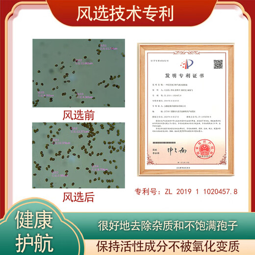 乔康破壁灵芝孢子粉50g三萜≥10.5%体质虚弱增强免疫力有机专利破壁 2盒价(实发3盒共150g)