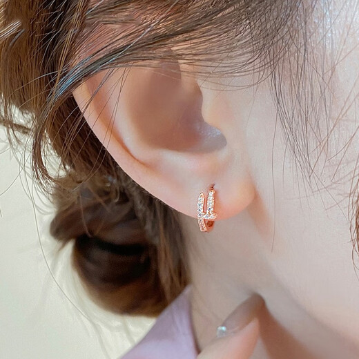 Idel French light luxury niche rose gold nail earrings 2025 new unique ear buckle commuting simple high-end earrings for women nail earrings rose gold E3175