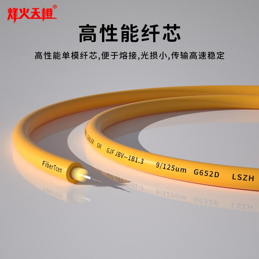 Fenghuo Tiancheng Telecom Grad Faser-Jumper Single Core 3.0 Faserverlängerungskabel SC/FC/ST/LC Optical Fibre Transceiver Optical End Maschinenschweißes Tailfaser-Telekommunikations-FC-FC (Einzelmodus Single Core) 3 Meter