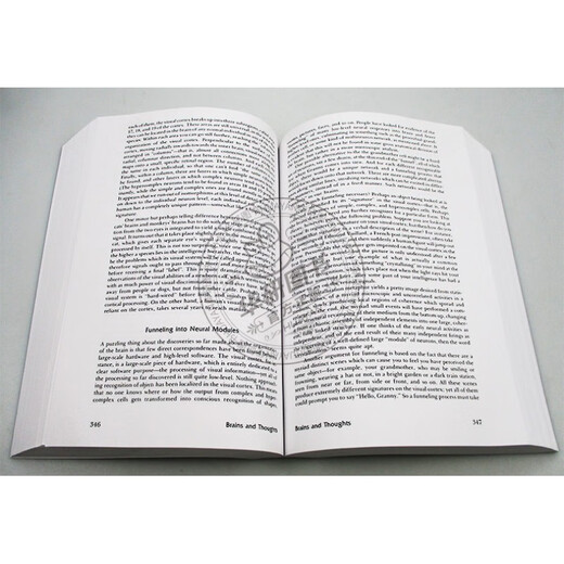 英文原版 哥德尔 埃舍尔 巴赫 集异璧之大成 Godel Escher Bach 全英文版