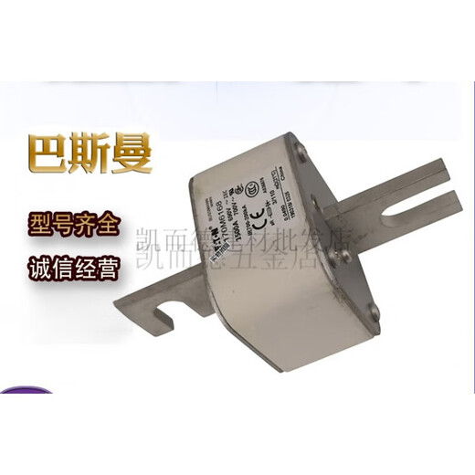 XMSJ巴斯曼170M6167  170M6169低压熔断器 170M6167
