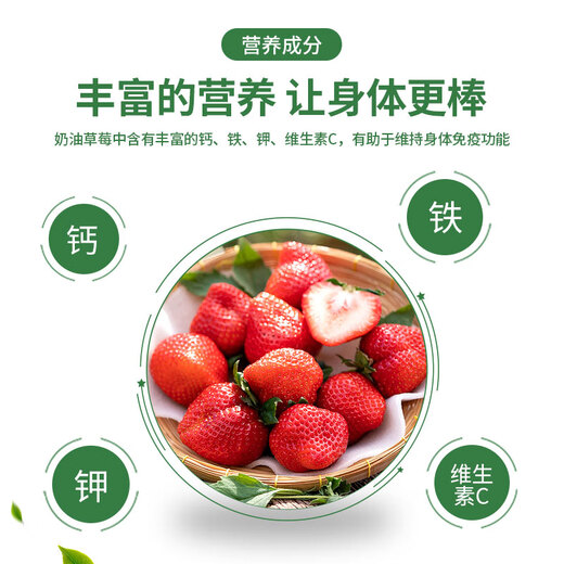 Huawoli Cream Strawberry Seeds 1000 Red Strawberry Vegetable Seeds Four Seasons Strawberry Seedlings Indoor and Outdoor Balcony Potted Plants