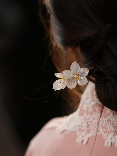 Mengyi wooden hairpin hairpin high-end Chinese style cheongsam ancient style original hairpin gardenia tassels step shake and hairpin gift