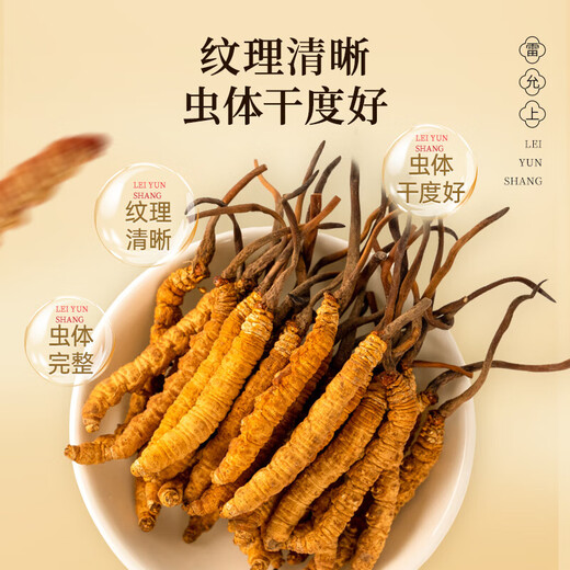 雷允上冬虫夏草4根/g 10g约40根 冻干父亲节礼盒送父母长辈礼物