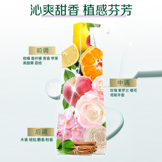 100 years of hair moisturizing shampoo anti-dandruff shampoo dew cream head ginger and hair soft super domestic product daily gift box 550ml*2
