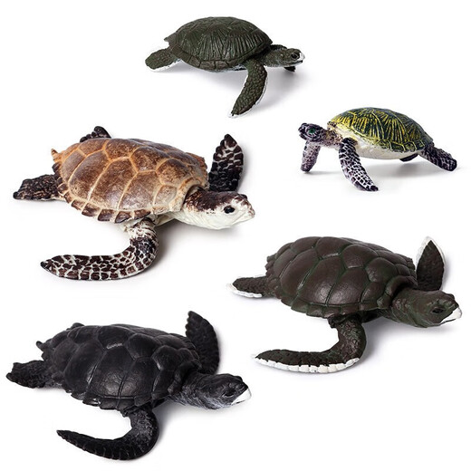 
Oenux marine animal model sea turtle toy solid turtle simulation small creature ornament figure children's elephant turtle leatherback turtle M-688 Brazilian turtle