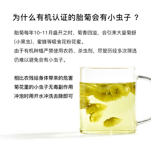 Be Tee Bio -Chrysanthemen Tee Tongxiang Erst Chrysanthemen Hangzhou weißer Chrysanthemengesundheitsee mit Wolfberry Spät 50 g/Dose Chrysanthemene Tee aufbleiben