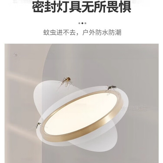 
Heling Copper Ultra-thin Outdoor Balcony Ceiling Light Villa Stairway Entrance Entry Headlight Waterproof Terrace Garden Light X3894/Ultra-thin Large 50cm/Three Color Adjustable