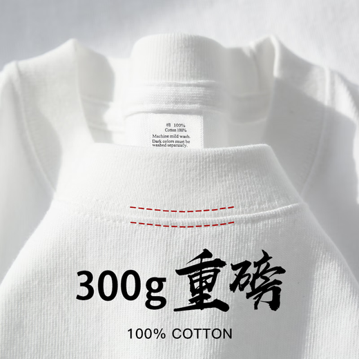 高级灰 300g重磅纯棉T恤厚实不透短袖男女纯色宽松大码打底上衣服 香芋紫-300g重磅 2XL建议190-210斤
