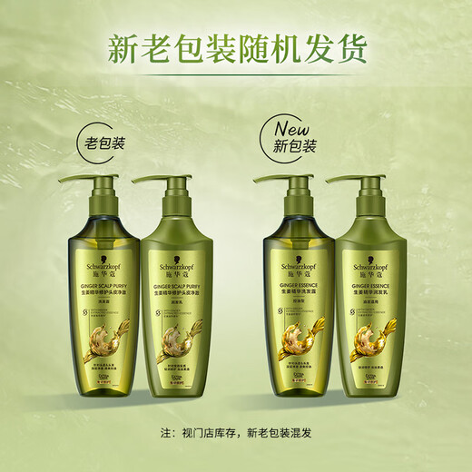 施华蔻（Schwarzkopf）生姜精华洗发露600ml  持久控油清爽蓬松洗发水 无硅油洗头膏