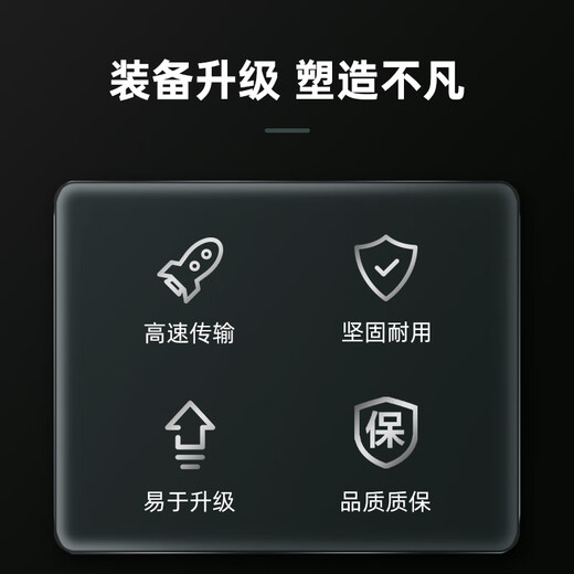 希捷（SEAGATE）256GB SSD固态硬盘SATA3.0接口 台式机笔记本电脑硬盘 读速高达540MB/s 希捷酷鱼