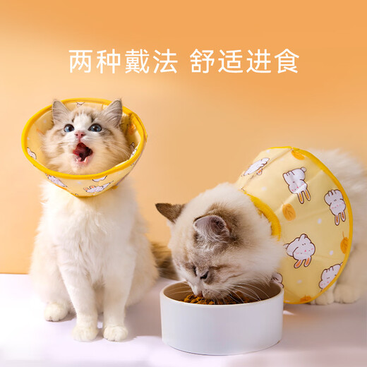 Hippie Dog (hipidog) Pet Elizabethan Circle Cat Headgear Shame Circle Dog Neck Collar Neck Collar Collar Anti-Licking Anti-Bite Cat Neuter Ring Yellow Rabbit M (Neck Circumference 24-27CM/Recommendation 5-10 Jin Jin equals within 0.5 kg)