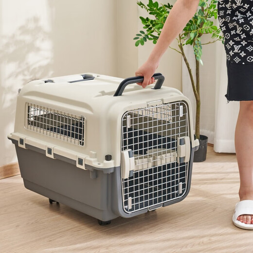 HZPET宠物航空箱狗狗托运加厚大号国航箱子猫咪小型犬外出车载箱飞机箱 2号塑窗60*40*40cm（16斤内）
