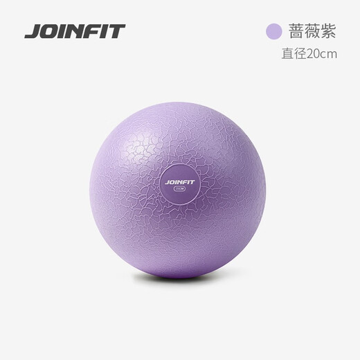 JOINFIT Pilates ball yoga ball fitness ball yoga ball explosion-proof pelvic floor muscle training ball yoga ball children's elastic ball deep space gray (25cm)