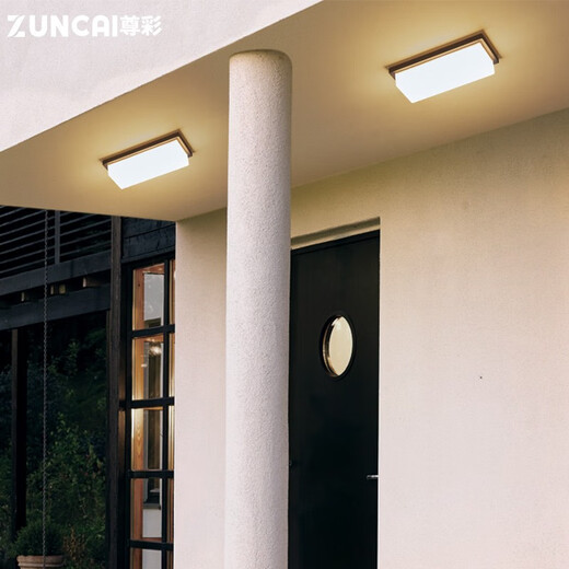 Zuncai entrance door wall lamp, outdoor waterproof villa door front lamp, courtyard exterior wall lamp, outdoor balcony terrace lamp, modern mains type/A type garden wall lamp, large 36W warm light