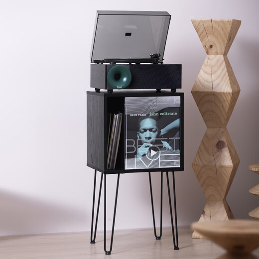 Fennessy Vinyl Record Cabinet Peripheral Base Speaker Bookcase LP Sofa Side Cabinet Living Room Bedroom Storage Cabinet Display Cabinet