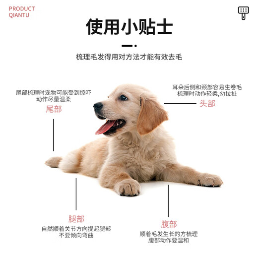 AFTER AUTUMN Dog Needle Comb Pet Comb Dog Hair Comb Dog Special Comb Dog Shedding Artifact Cat Comb Teddy Comb To Make Hair Fluffy 9502A Small Blue 16cm*8.8cm