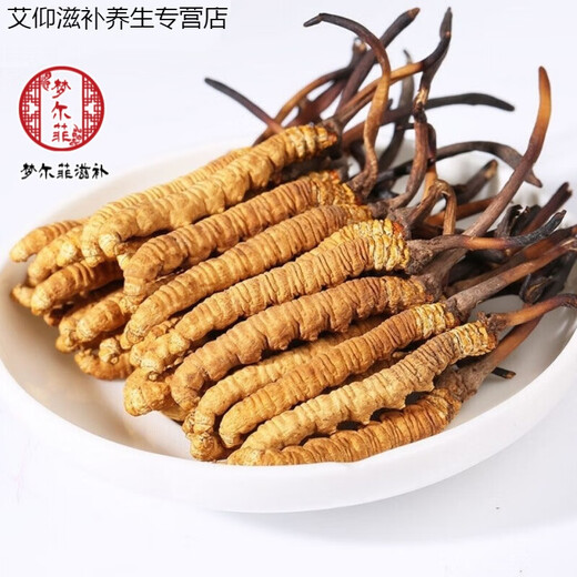 Ivanmai Auténtico Cordyceps Cordyceps Cordyceps Cordyceps Casco de hierba no rota Empacada de tubos de raíz súper grande Liangshan Yivanmai Yivanta prueba 1 botella