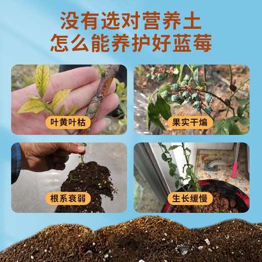Devodo blueberry special nutrient soil 15L gardening vegetable soil green plant potted flower soil fruit and vegetable plant material organic planting soil