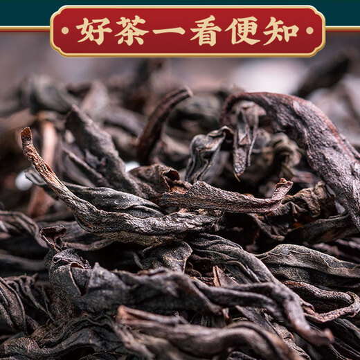 好韵当头牛栏坑肉桂大红袍2025新茶武夷山茶乌龙茶特级高档茶叶礼盒装300g