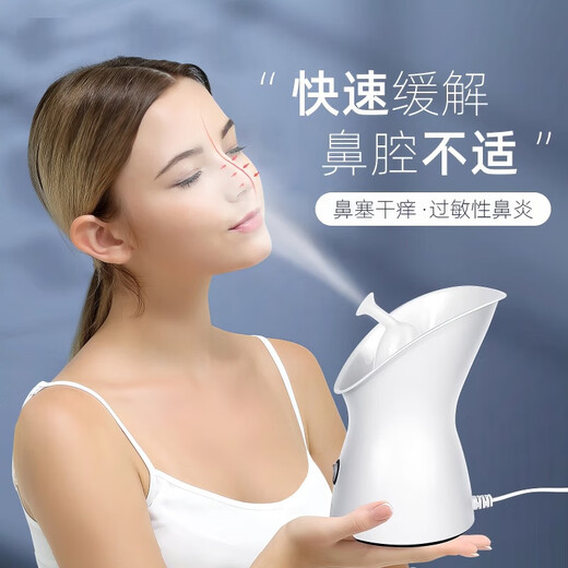Golden Rice Hot Spray Facial Steamer Replenishing Moisture Facial Steamer Nano Sprayer Home Facial Beauty Instrument Facial Humidifier Smoky Face Steamer Open Pores Traditional Chinese Medicine Facial Steamer Girl Gift Ivory White