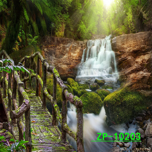 主播背景布3D立体网红直播间背景山水户外风景背景布 ZP-10975 2.5米宽+2.5米高