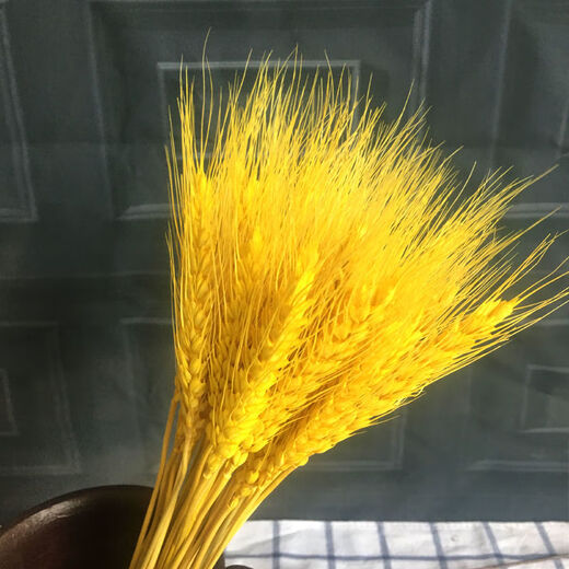 AIMAN natural wheat ears dried flower bouquet for new store opening barley gift living room pastoral decoration photography props 50 golden wheat ears