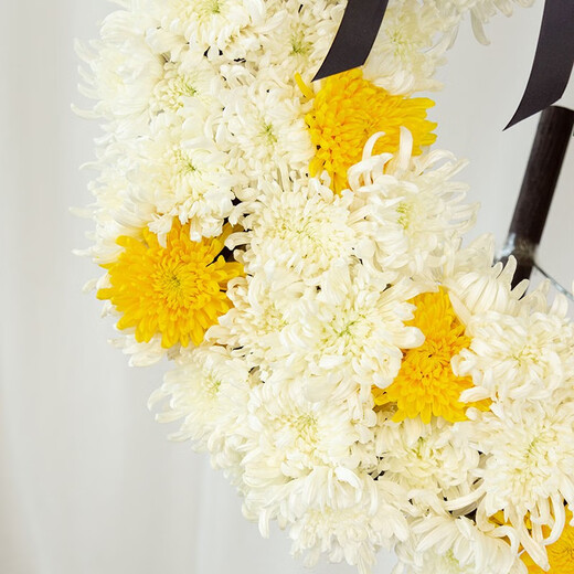 Baihua Pavilion Flowers Qingming Festival Chrysanthemums Funeral Sacrifice Real Bouquet Funeral Memorial Grave Sweeping Memory of Revolutionary Martyrs City Delivery Full of Sorrow 1 Wreath | Q67