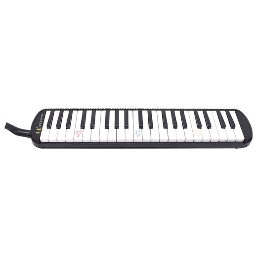 Chimei Mouth Organ 37/32 Key Children's Mouth Organ Classroom Teaching Professional Playing Mouth Organ 41 Keys Wide Range-Black (Soft Bag)