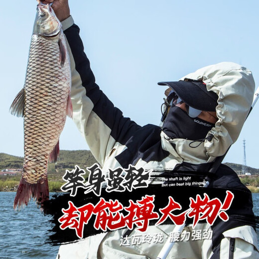 达瓦玲珑6H28调钓鱼竿手竿超轻超硬鲫鲤竿9H19调台钓竿高碳野钓休闲竿 719m 0M 高碳7H19调腰力强劲 2.7米送礼包+竿稍