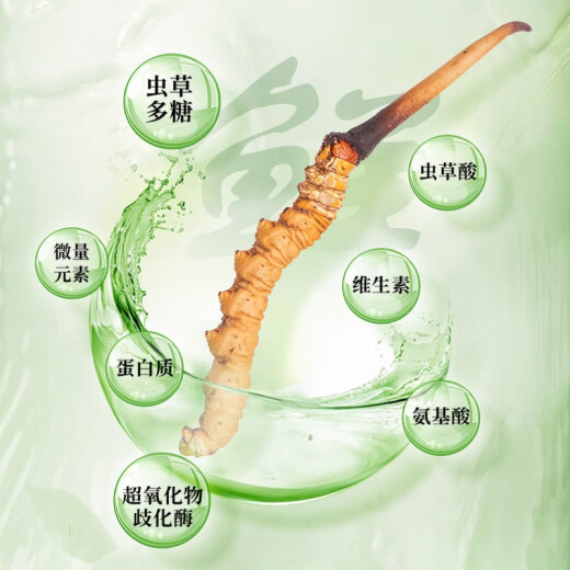 圣迪康藏2025年头茬新鲜冬虫夏草鲜虫草冷鲜空运送礼自用滋补礼品 1.0克/根  20根装
